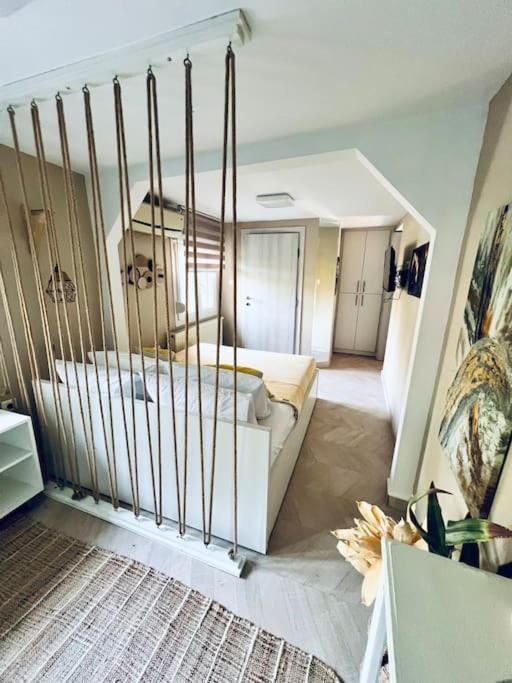 Luxury Apartment