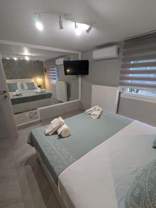 Apartment Luxury