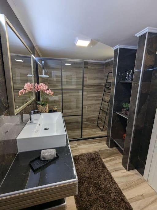 Apartment Luxury