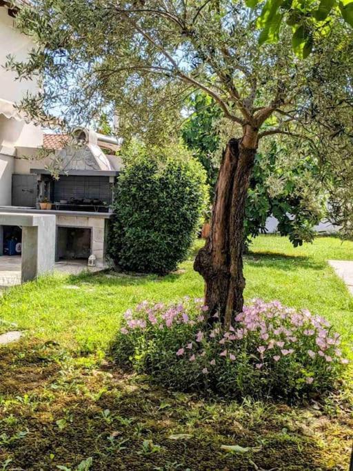 Luxury Apartment Vergina